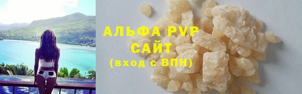 стафф Алзамай